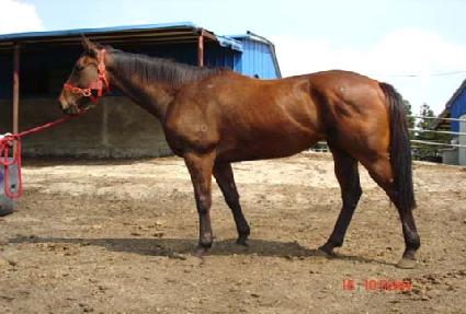 Ŀ�ַ����� ����