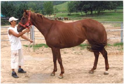 ���ʷ� ����