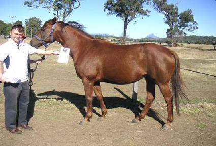 ĳ���ǽ� ����