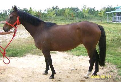 �Ƹ��� ����