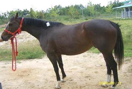 �̽ý��ǹ̽� ����