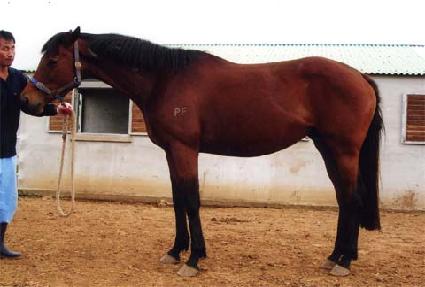 �ں��� ����