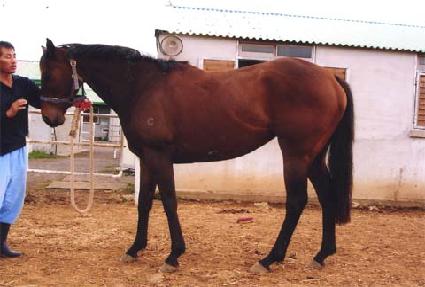 �����䰡���� ����