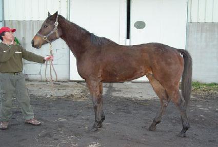 �Ƹ� ����