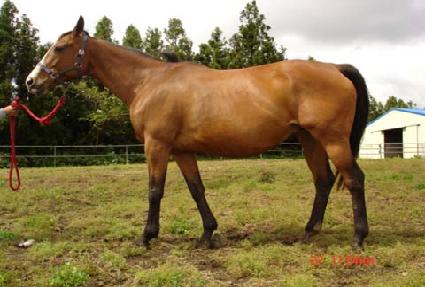 �������� ����