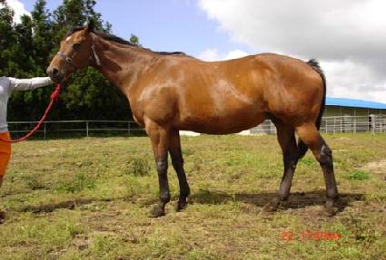 ���Ϸ����� ����