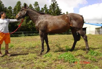 �����̺���̵� ����