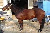 ������ȭ (JAYUPYEONGHWA) ����