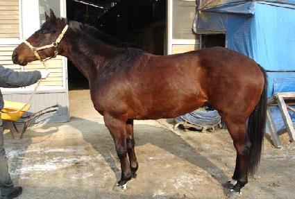 ������ȭ ����