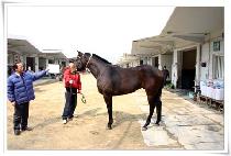 �������� (EXCESS THIS) ����