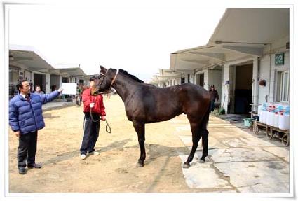 �������� ����