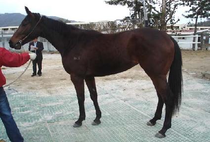 ����ī��Ʈ ����