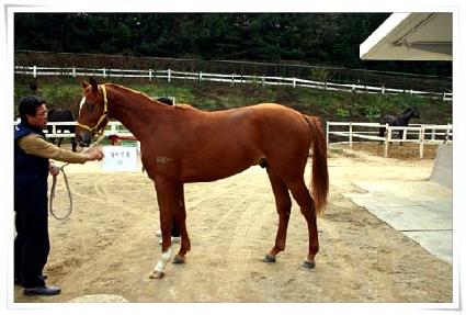 ���񿵿� ����