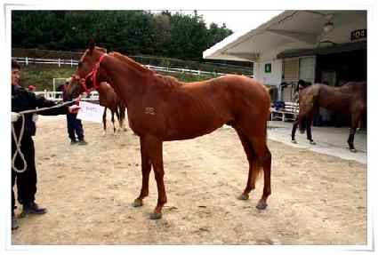 ���ֱ���� ����