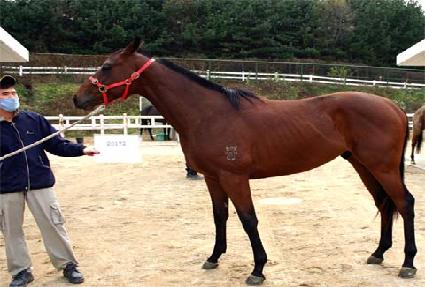 ��Ʈŷ ����