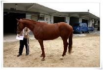 ĳ�Ͼ׼� (CANNY ACTION) ����