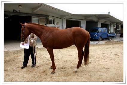 ĳ�Ͼ׼� ����