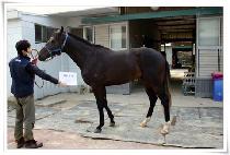 ȭ������ (HWARANGJEONSA) ����