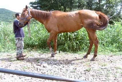 ����շ������� ����