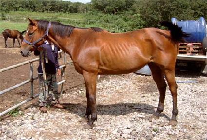 ����Ʈ���۸��̼� ����