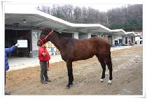 ������� (FREE HUGS) ����