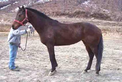 ��뿩�� ����