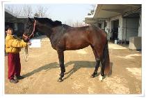 ����ȿ� (SPECIAL ONE) ����