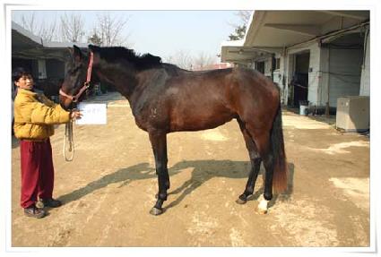 ����ȿ� ����