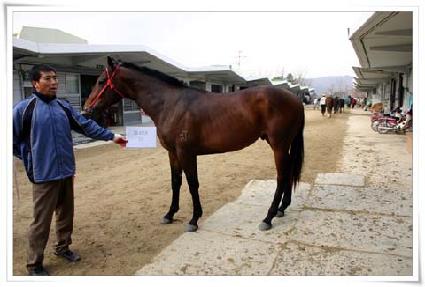 ž���� ����