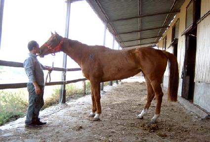 ���� ����