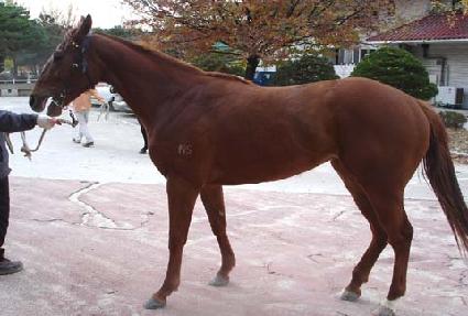 ����¡���� ����