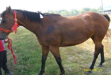 �����̺� ����