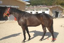 �ູ�ѿ��� (HAENGBOKHAN USEUM) ����