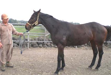 �ݺ��¸� ����