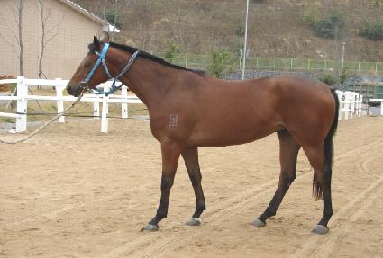 ����è�� ����