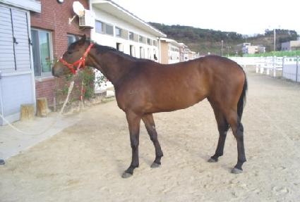 ������ ����