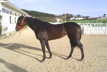 �ϴñ� (HANEULGIL) ����