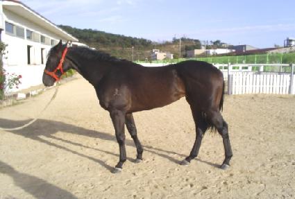 �ϴñ� ����