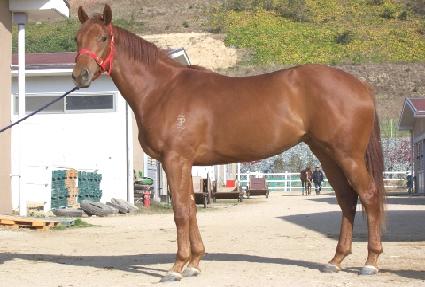 ������� ����