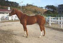 �׷������ (GRAND VICTOR) ����