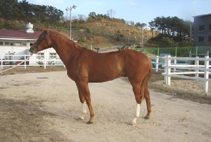 �׷������ ����