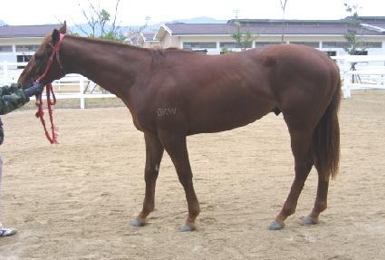 �����ְ� ����