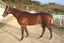 丮Ƽ (VICTORY PARTY) 