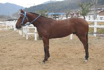 �������� (MYEONGYEOL JEONMO) ����