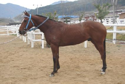 �������� ����