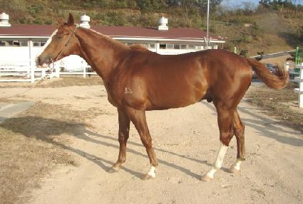 ����Ʈ���� ����