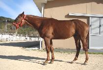 �������ǽô� (YEOREOBUNUI SIDAE) ����