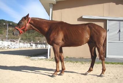 �������ǽô� ����