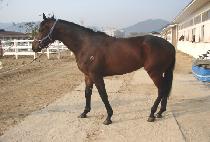 �Ҹ��屺 (BULMO JANGGUN) ����