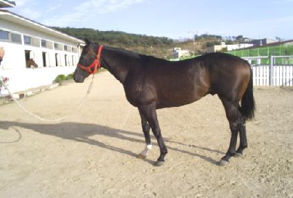 �ΰ���� ����